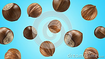 Creative layout made pattern hazelnut Flat lay isolated blue background. Mockup hazelnuts as package design element Stock Photo