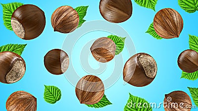 Creative layout made pattern hazelnut leaf isolated blue background. Macro concept. Mockup hazelnuts as package design element Stock Photo
