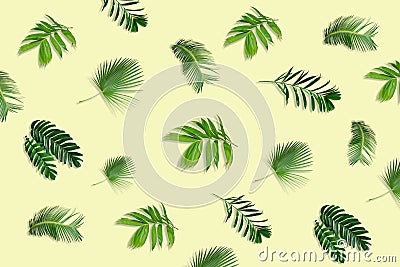 Creative layout made of tropic monstera leaves on pastel background Stock Photo