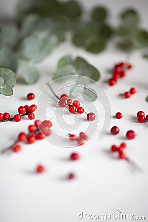 Creative layout with red berries and eucalyptus Stock Photo