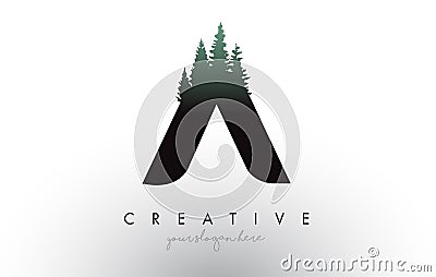 Creative A Letter Logo Idea With Pine Forest Trees. Letter A Design With Pine Tree on Top Vector Illustration