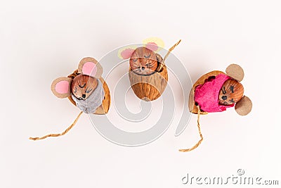 Creative mouse crafts using hazelnuts and paper details, set on an white surface. top view, mouse sleeps in a nutshell Stock Photo