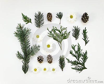 Creative natural layout of winter plants parts on white background. Flat lay, top view Stock Photo
