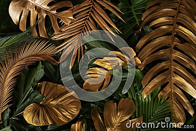 Creative nature background. Gold and green tropical Monstera and palm leaves Stock Photo