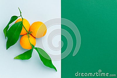 Creative new tangerine layout for design. Stock Photo