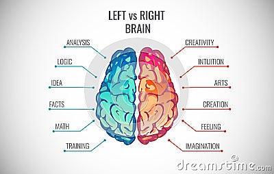 Creative part and logic brain part vector illustration Vector Illustration