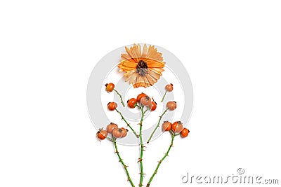 Creative pattern arrangement. Autumn composition made of dried leaves,dogrose berries and flower on white background. Stock Photo