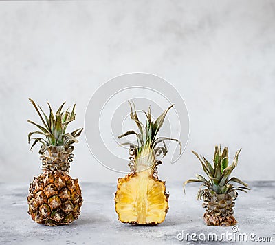 Creative pineapple layout. light gray background Stock Photo