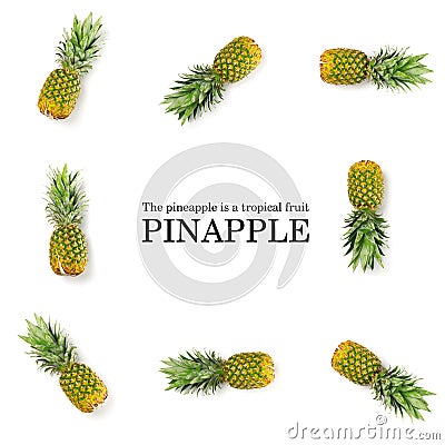 Creative Pineapple layout with sample text. Pineapple on white background. Tropical fruits concept Stock Photo