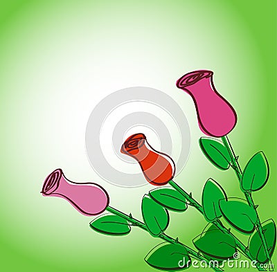 Creative roses Vector Illustration