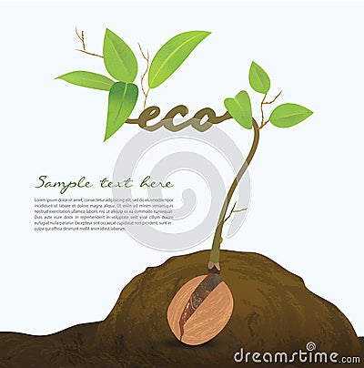 Creative seed idea abstract info graphic, concept. Vector Illustration