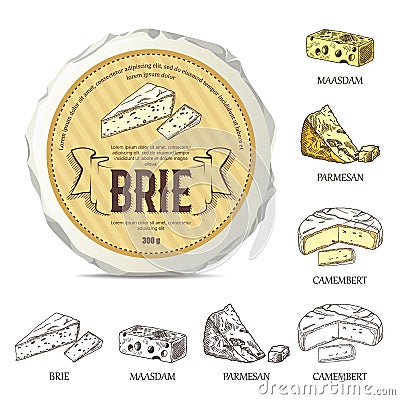 Creative sticker for brie on round cheese mockup. Vector illustration with vintage label. Vector Illustration