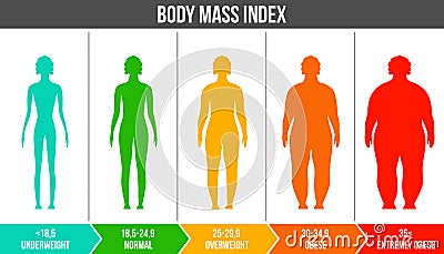 Creative vector illustration of bmi, body mass index infographic chart with silhouettes and scale isolated on Vector Illustration