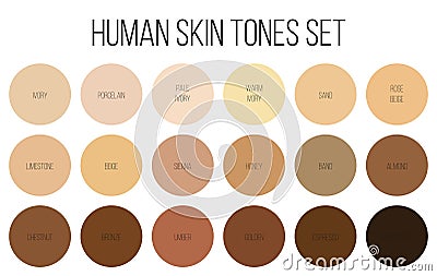 Creative vector illustration of human skin tone color palette set isolated on transparent background. Art design Vector Illustration