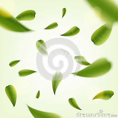 Creative vector illustration of realistic blurred fresh vividly flying green leaves isolated on transparent background. Art design Cartoon Illustration