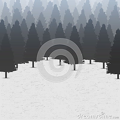 Creative vector illustration of wild coniferous pine tree forest background. Art design landscape nature wood panorama Vector Illustration