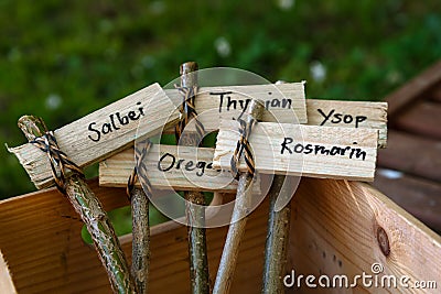 Creative wooden plant markers, labeled with german names for sag Stock Photo