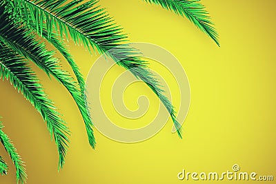 Creative yellow palm background Stock Photo