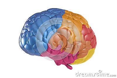 Creativity brain Stock Photo