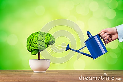 Creativity and brain function growth Stock Photo