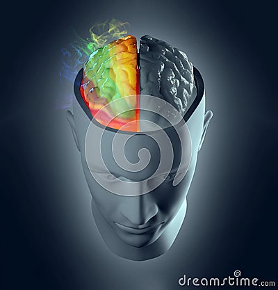 Creativity cerebral hemisphere concept Stock Photo