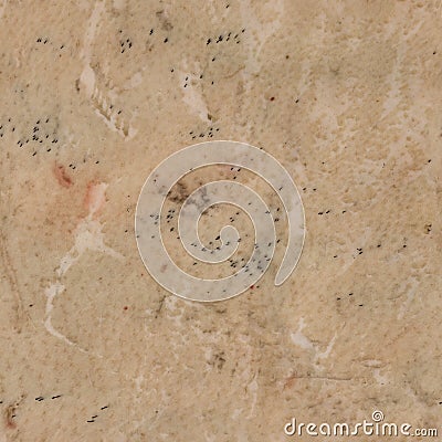 Creature skin Albedo map, diffuse map texture Stock Photo
