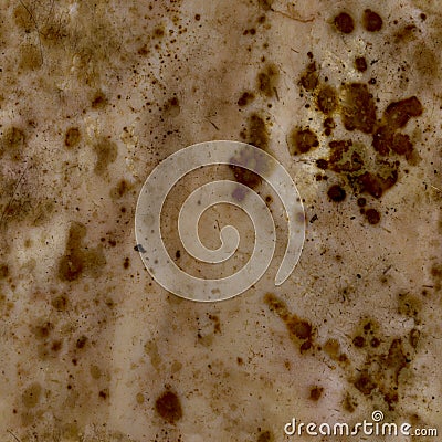 Creature skin Albedo map, diffuse map texture Stock Photo