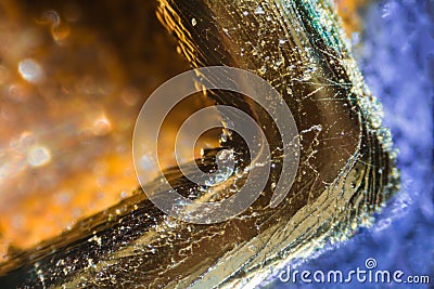 Credit card number under the microscope Stock Photo