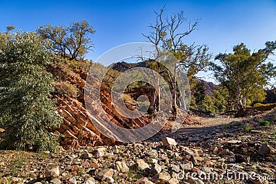 Creek bed in Bunyeroo Gorge in the Flinders Ranges, South Australia Stock Photo