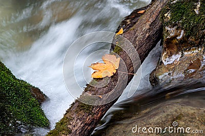 Creek closeup Stock Photo