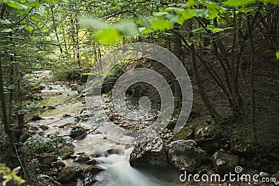 Creek Stock Photo