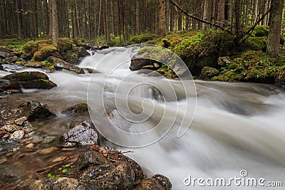 Creek in the Dolomites Stock Photo