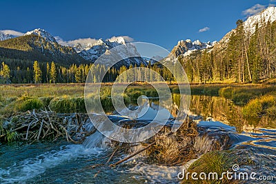 Creek has been damed by beavers in Idaho Stock Photo