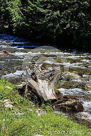 Creek of Rausor Dam in the mountains of Iezer, Romania. Small stream of water in the forest Stock Photo