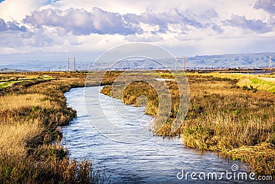 Creek running among the marshes of San Francisco bay, Mountain View, California Stock Photo