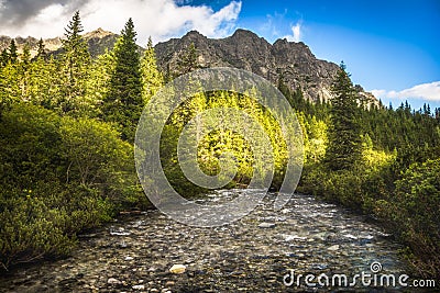 Creek and Trees under Mountains Stock Photo