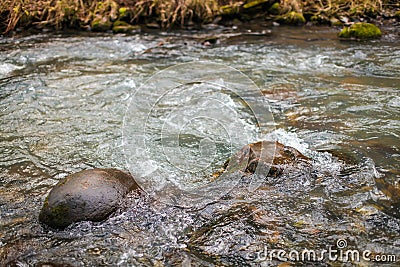 The creek, Water flows on stones. Bubbles and foam on the water. Abstract natural background in selective focus Stock Photo