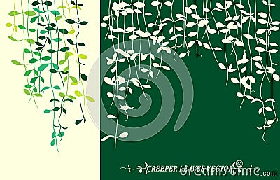 Creeper leaves Vector Illustration