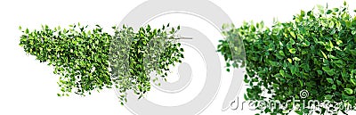 Creeper plant isolated on white background. 3D render. Cartoon Illustration