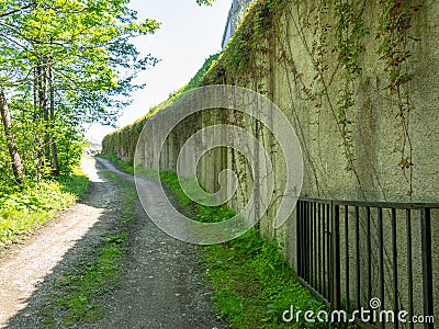 Creepers entangled in a cement wall. Vines on the wall. Nice quiet place. Background from the wall and plants Stock Photo