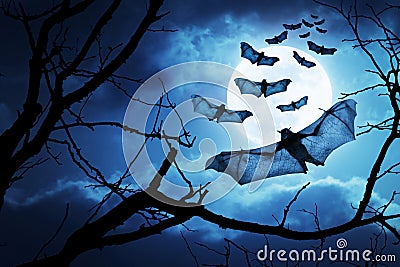 Creepy Bats Fly In For Halloween Night By A Full Moon Stock Photo