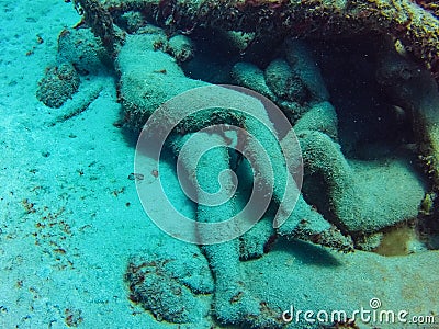 Creepy drowned human artwork in underwater sculpture park Editorial Stock Photo