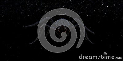 Creepy illustration of a large black hairy spider in space against a dark starry background Cartoon Illustration