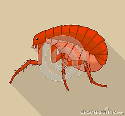 Creepy Tick Insect Vector Illustration