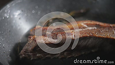Cremagliera dell'agnello Cucinando con il fuoco in padella Cuoco unico professionista in una cottura commerciale della cucina Uom archivi video Cremagliera dell'agnello Cucinando con il fuoco in padella Cuoco unico professionista in una cottura commerciale della cucina Uom archivi video