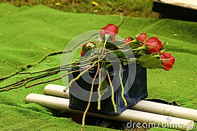 Cremation urn for burial with red roses Stock Photo