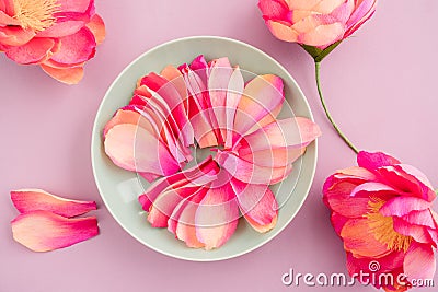 Crepe paper peony flowers Stock Photo