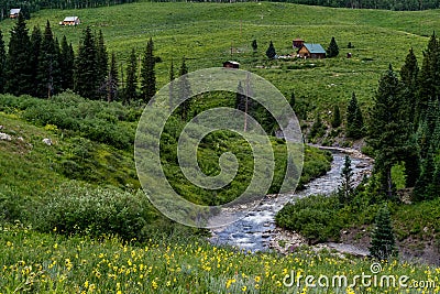 Crested butte colorado mountain landscape and wildflowers Stock Photo