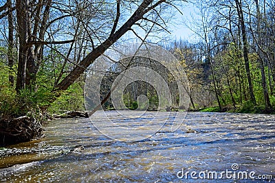 Cresting river in early spring Stock Photo