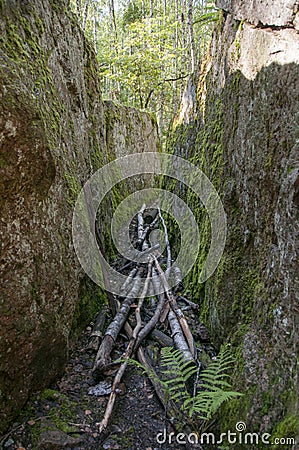 A crevice in a granite rock covered with moss and overgrown with ferns. Granite canyon path. Mysterious grotto in the forest. Stock Photo